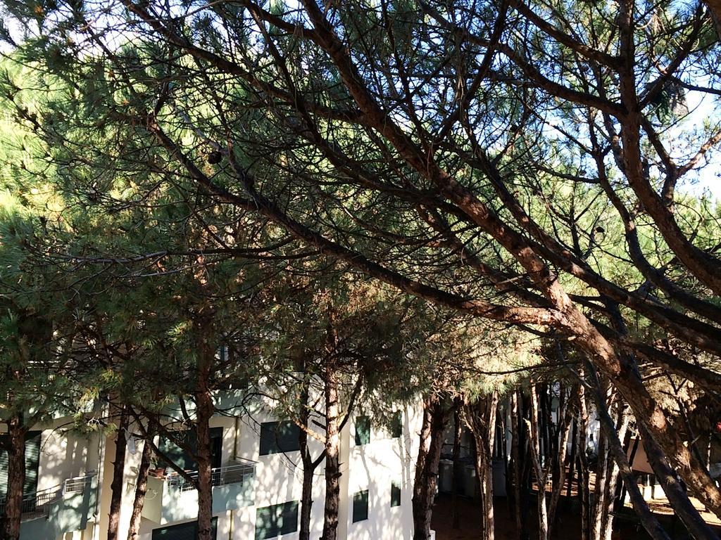Golem Apartments Rom bilde